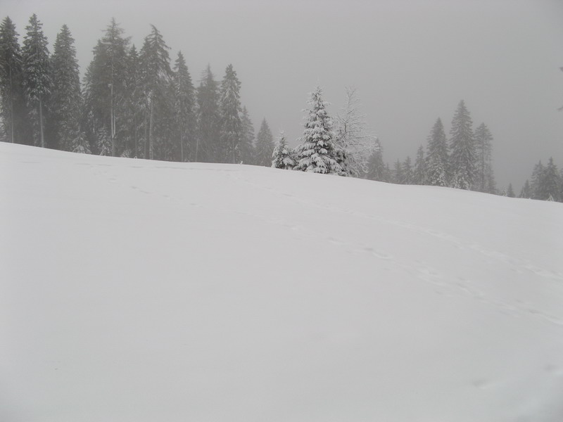 sotto una nevicata